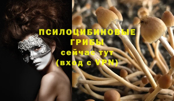 мдма Лиски