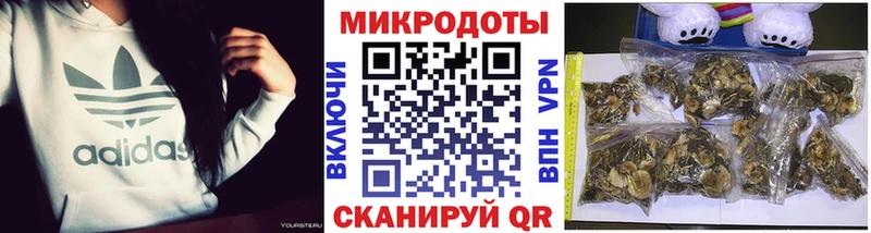 Галлюциногенные грибы Psilocybe  Купить  Нурлат 